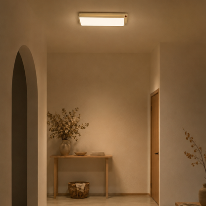 LED Acryl Eisen Innen Deckenleuchte