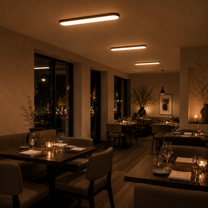 Moderne Ovale Lineare LED-Deckenleuchte